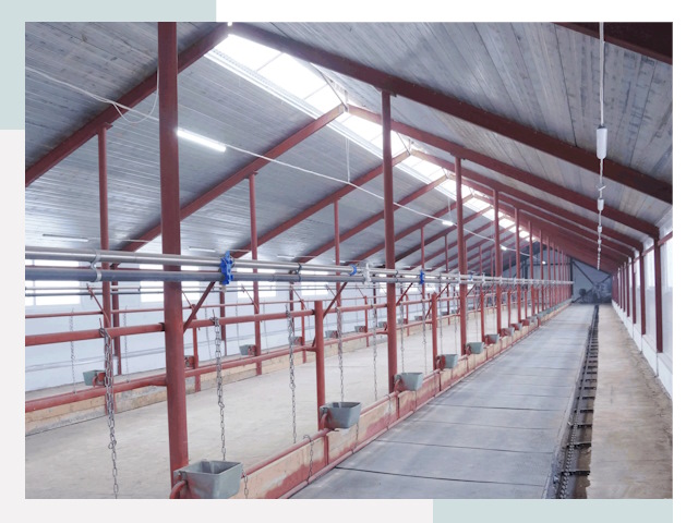 Строительство коровников в Кушве от 616 руб.