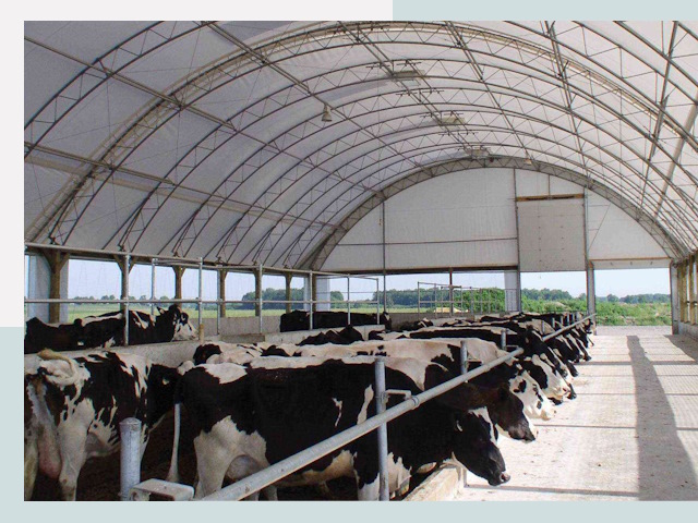 Тентовые коровники в Кушве